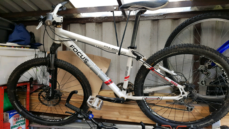 focus fatboy mountain bike